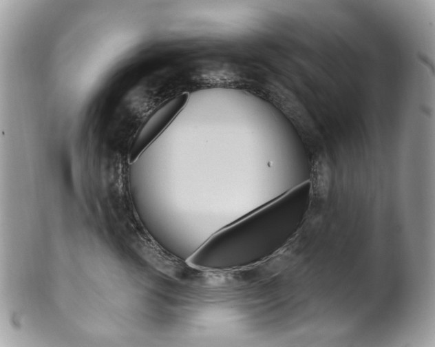 X0000101420762200807071031