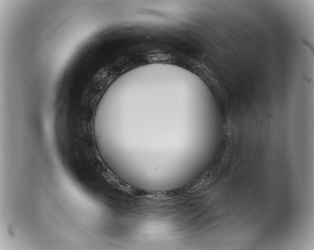X0000101420763200807071031