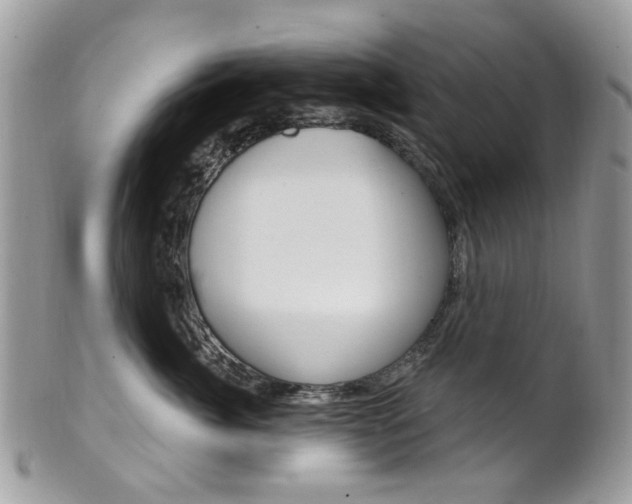 X0000101420764200807071031