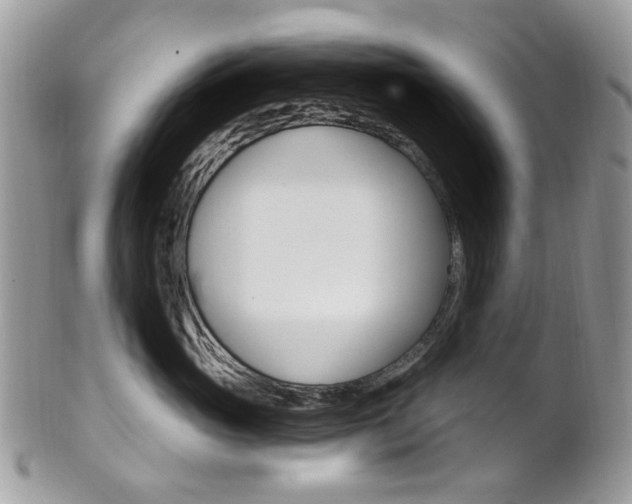 X0000101420765200807071031