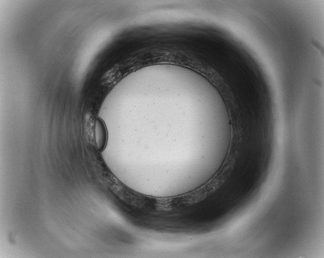 X0000101420766200807071031