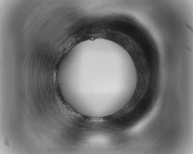X0000101420767200807071031