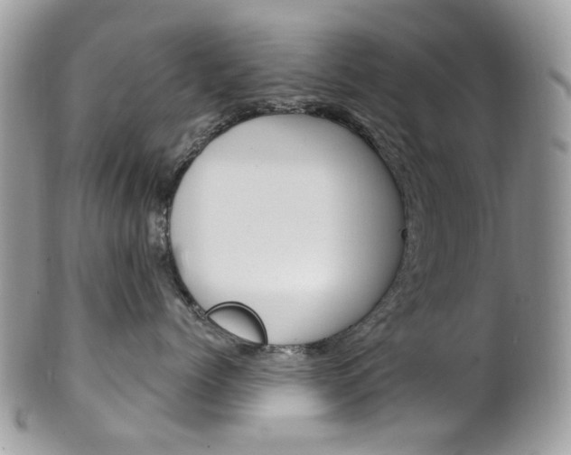 X0000101420768200807071031