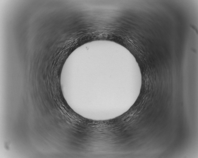 X0000101420769200807071030