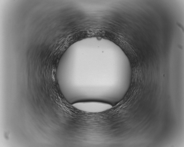 X0000101420770200807071030