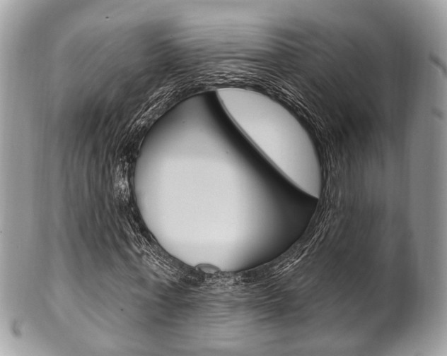 X0000101420771200807071030