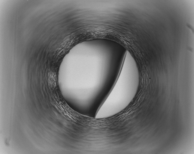 X0000101420772200807071030