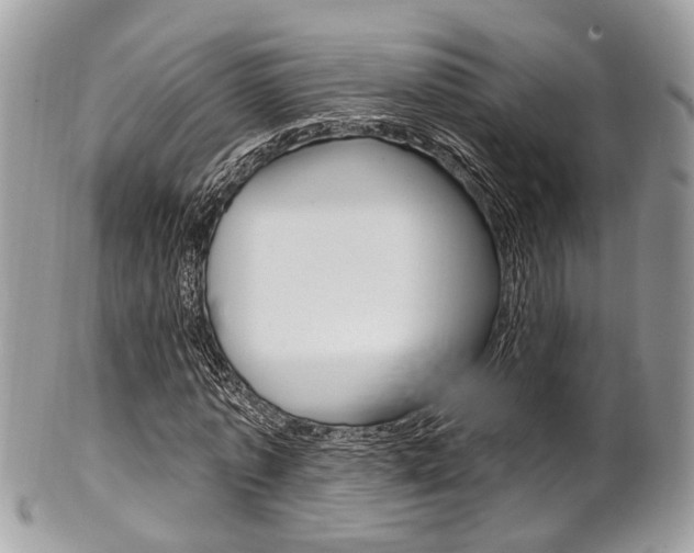 X0000101420773200807071030