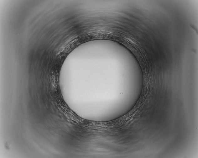 X0000101420774200807071030