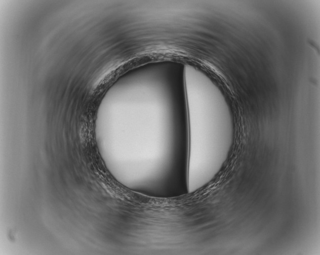 X0000101420775200807071030