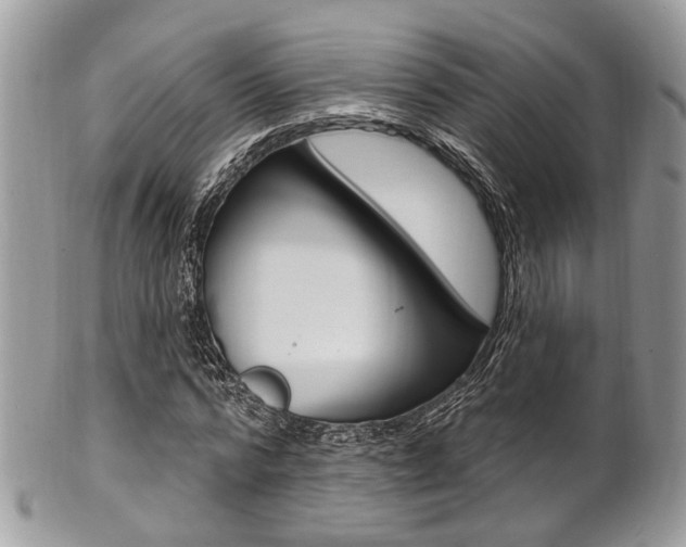 X0000101420776200807071030