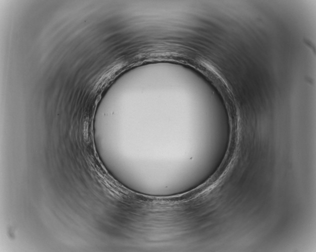 X0000101420777200807071030