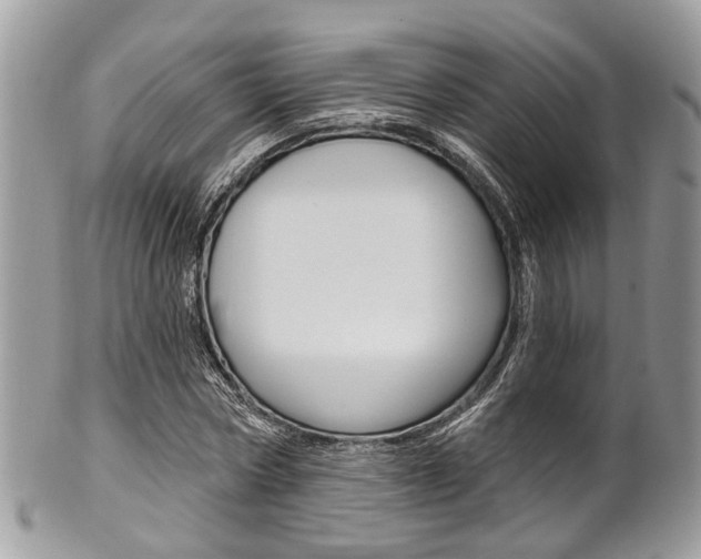 X0000101420778200807071030