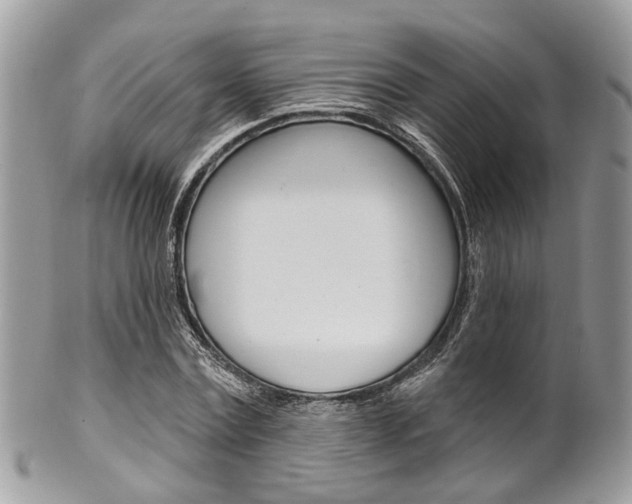 X0000101420779200807071030