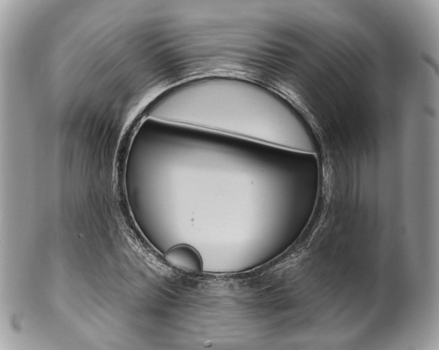 X0000101420780200807071030