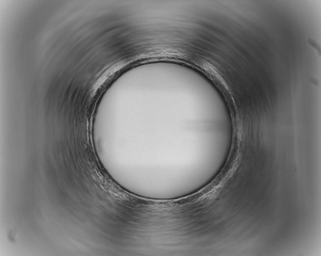 X0000101420781200807071030
