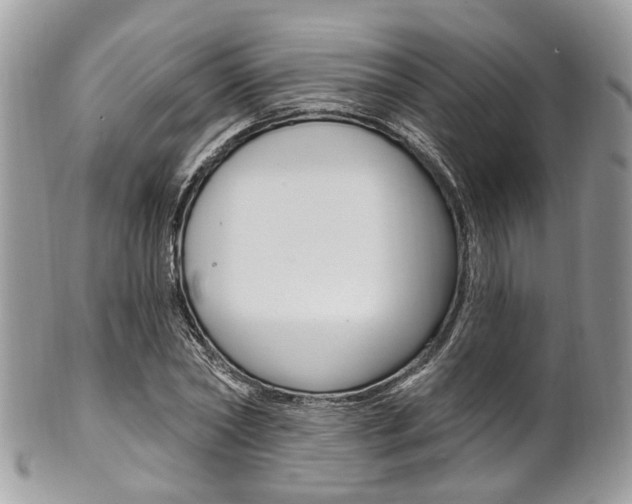 X0000101420782200807071030
