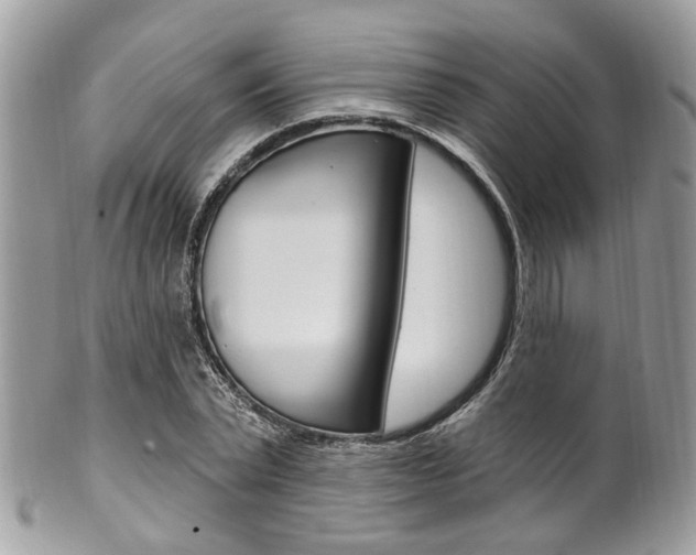 X0000101420783200807071030