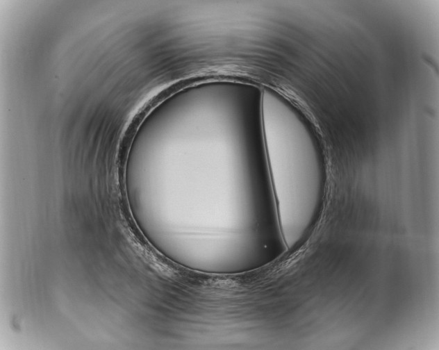 X0000101420784200807071030
