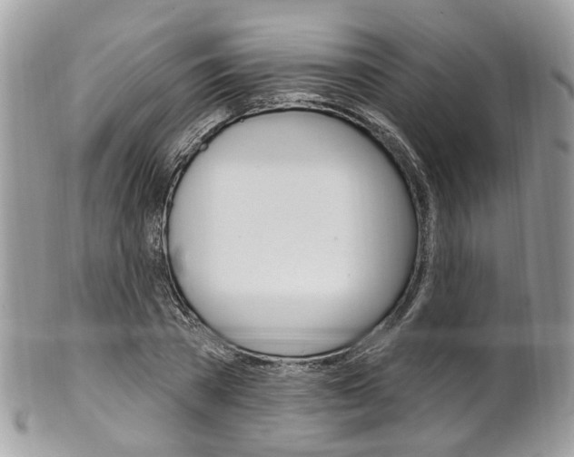 X0000101420785200807071030