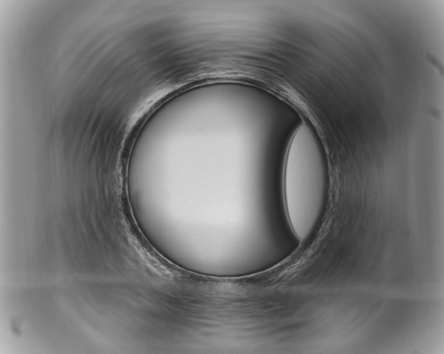 X0000101420787200807071030