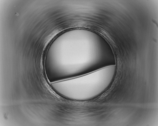 X0000101420788200807071030