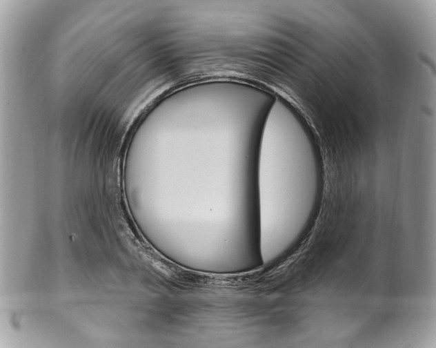 X0000101420790200807071030