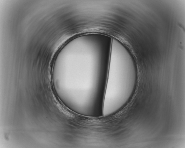 X0000101420792200807071030