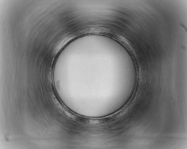 X0000101420794200807071030