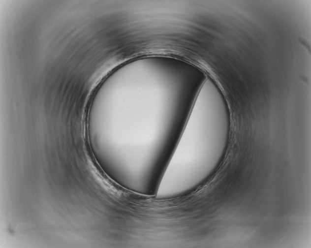 X0000101420795200807071030