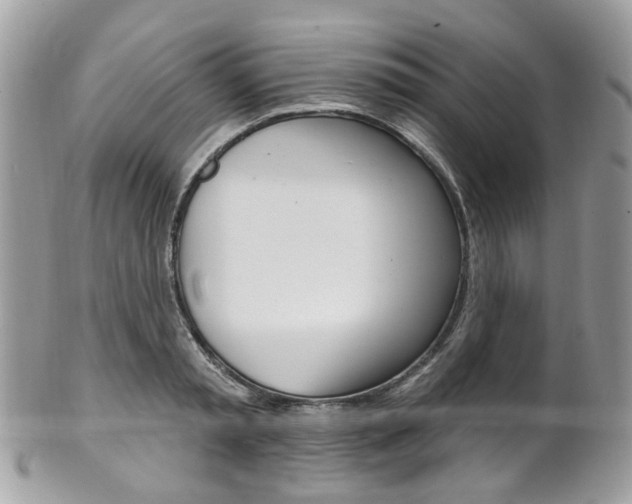 X0000101420797200807071030