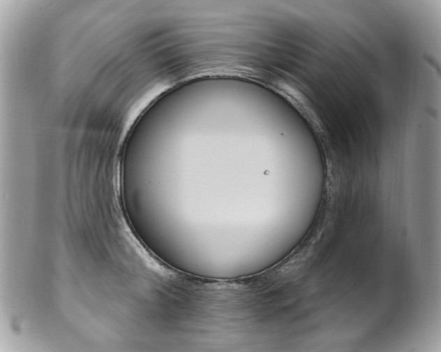 X0000101420804200807071030