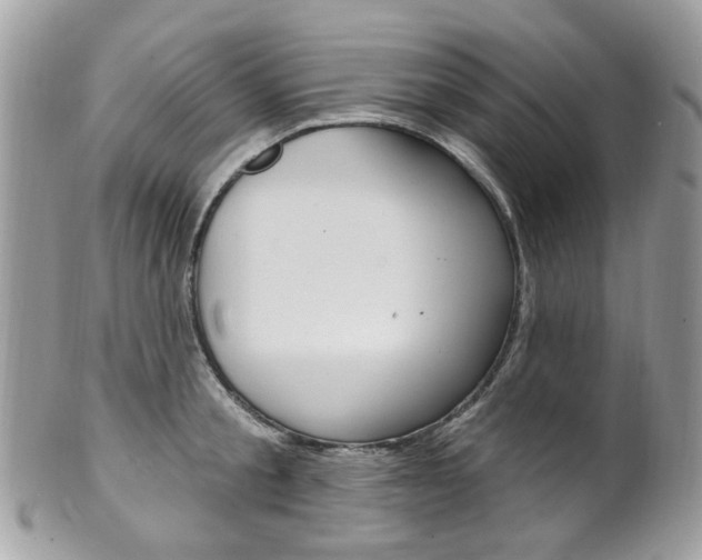 X0000101420805200807071030