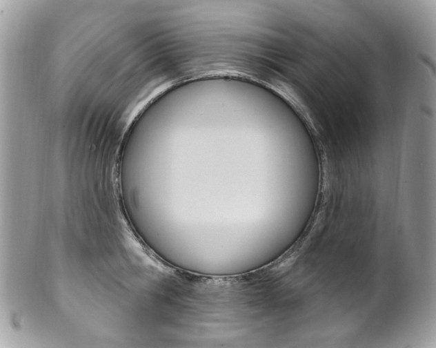 X0000101420806200807071030