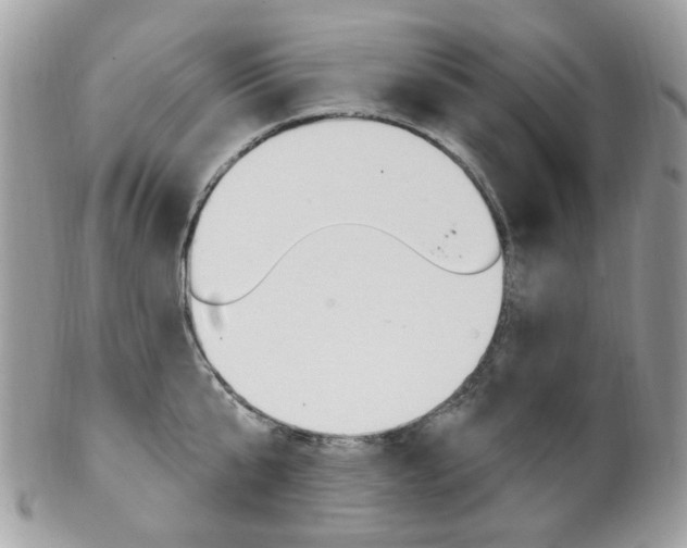 X0000101420807200807071030