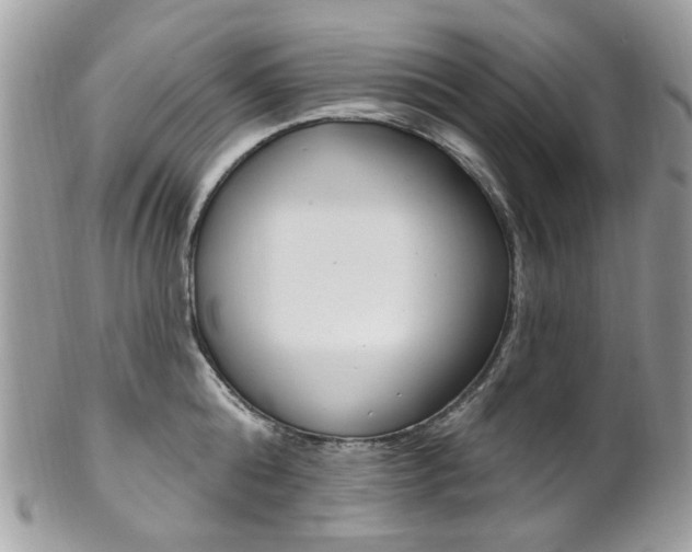 X0000101420808200807071030