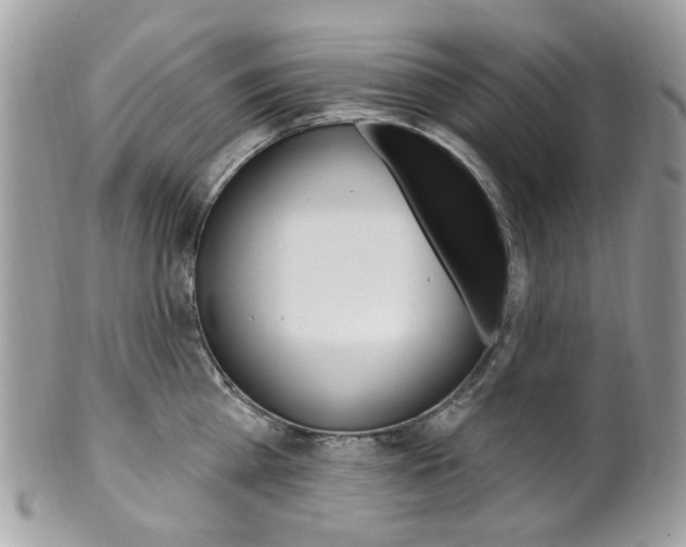 X0000101420809200807071030