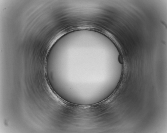 X0000101420810200807071030