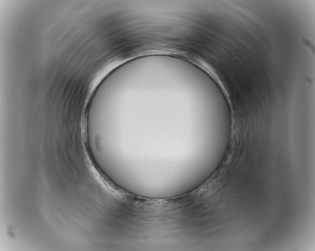 X0000101420811200807071030