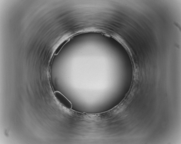 X0000101420813200807071030