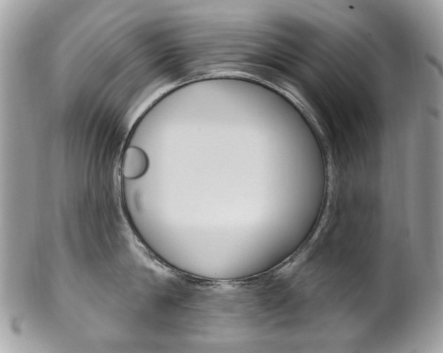 X0000101420814200807071030