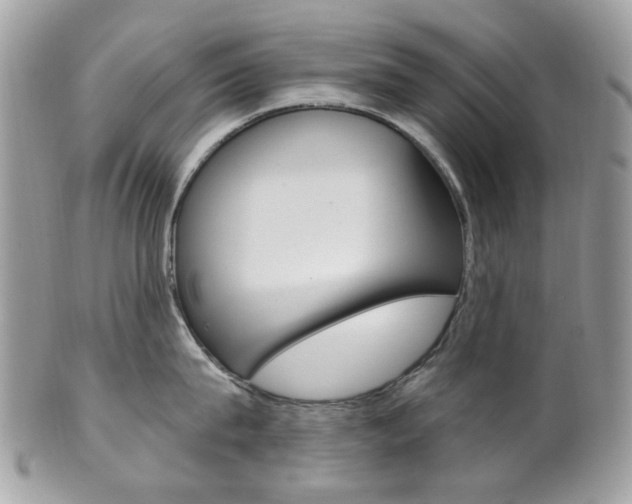 X0000101420815200807071029