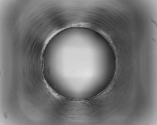 X0000101420816200807071029