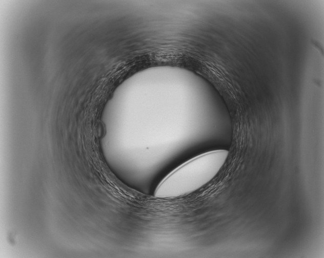 X0000101420817200807071029