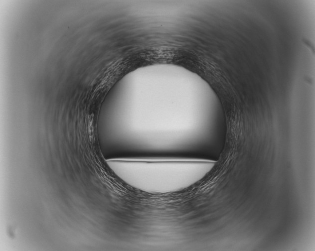 X0000101420818200807071029