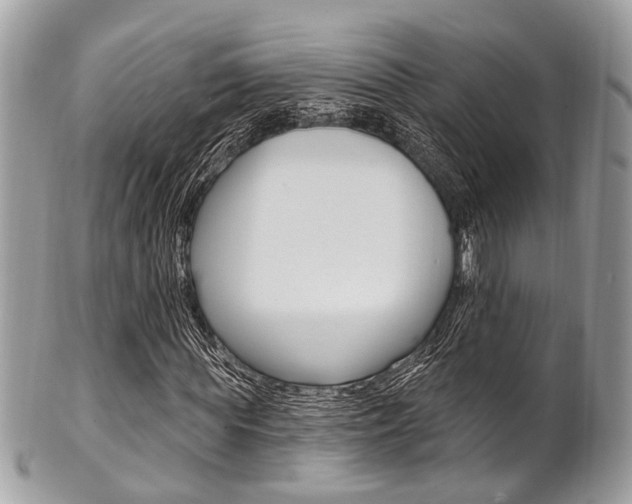 X0000101420819200807071029