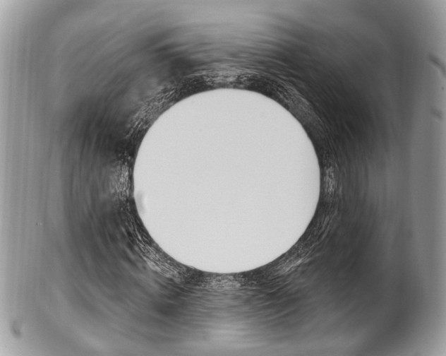 X0000101420820200807071029