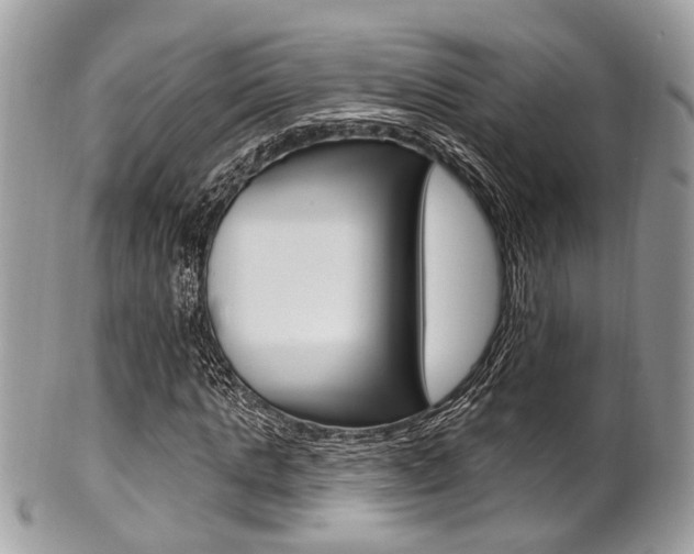 X0000101420821200807071029