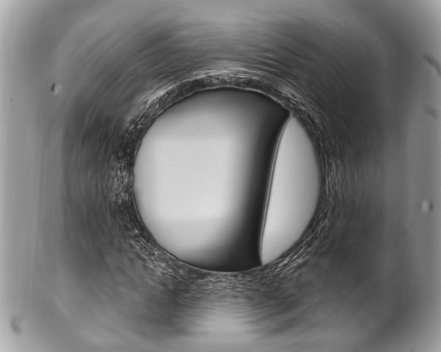 X0000101420822200807071029