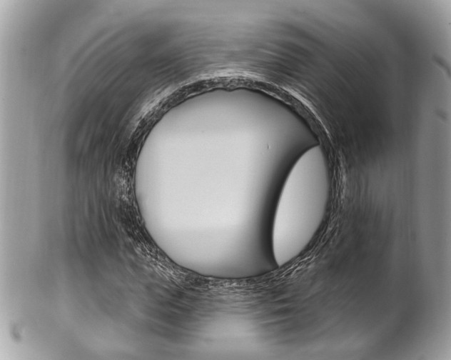 X0000101420823200807071029